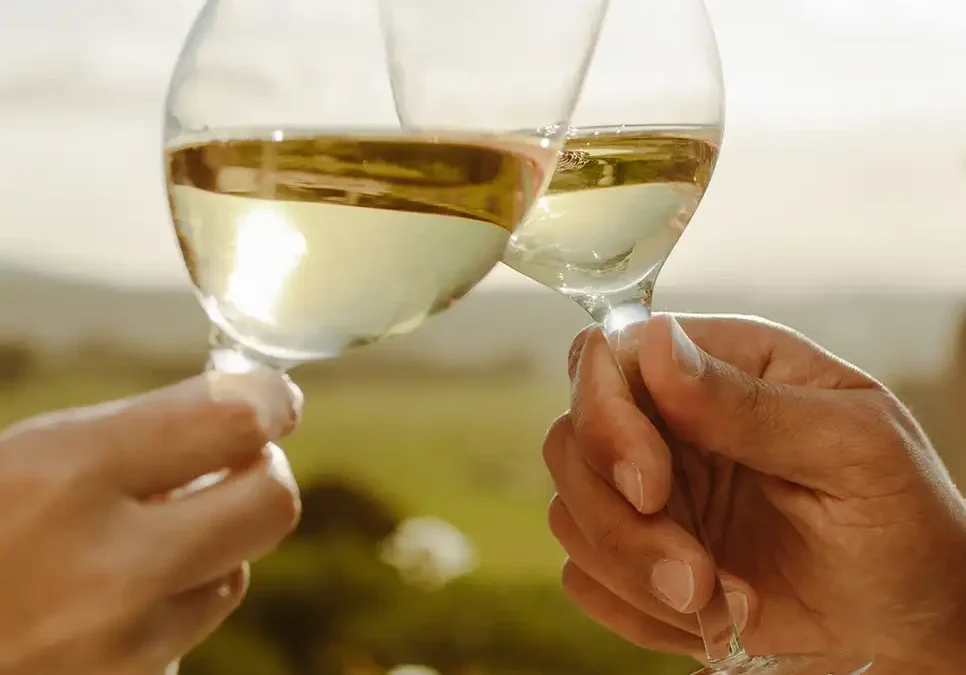 Article Terre de vins : Condrieu confronté au climat