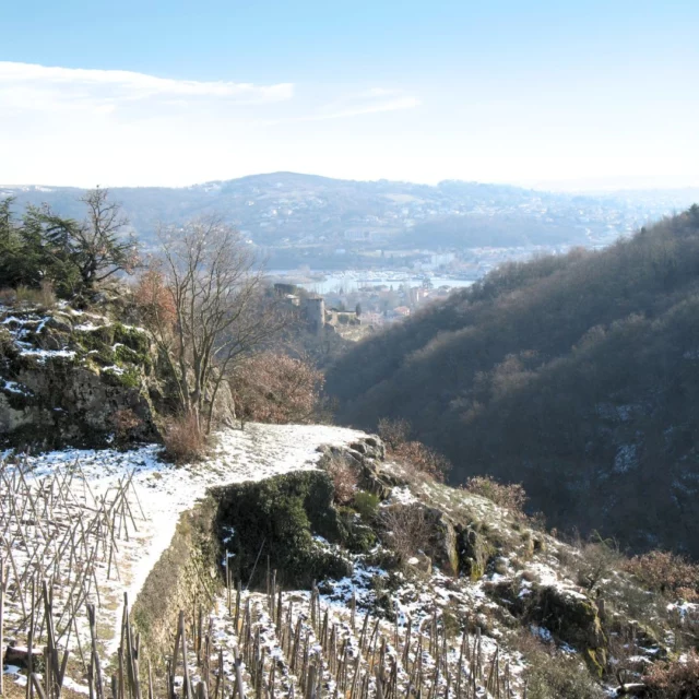 ❄️ Un paysage enneigé, c'est toujours ce même petit frisson de beauté parfaite ✨. Pour cette deuxième semaine de vacances, nous souhaitions partager avec vous cette magie unique que la neige apporte à chaque paysage. 🌨️⛄

Laissez-vous emporter par cette douce ambiance hivernale et profitez de chaque instant. ❤️❄️

#paysagesenneigés #magiedelaneige #hiver #vacancesdhiver  #momentsmagiques